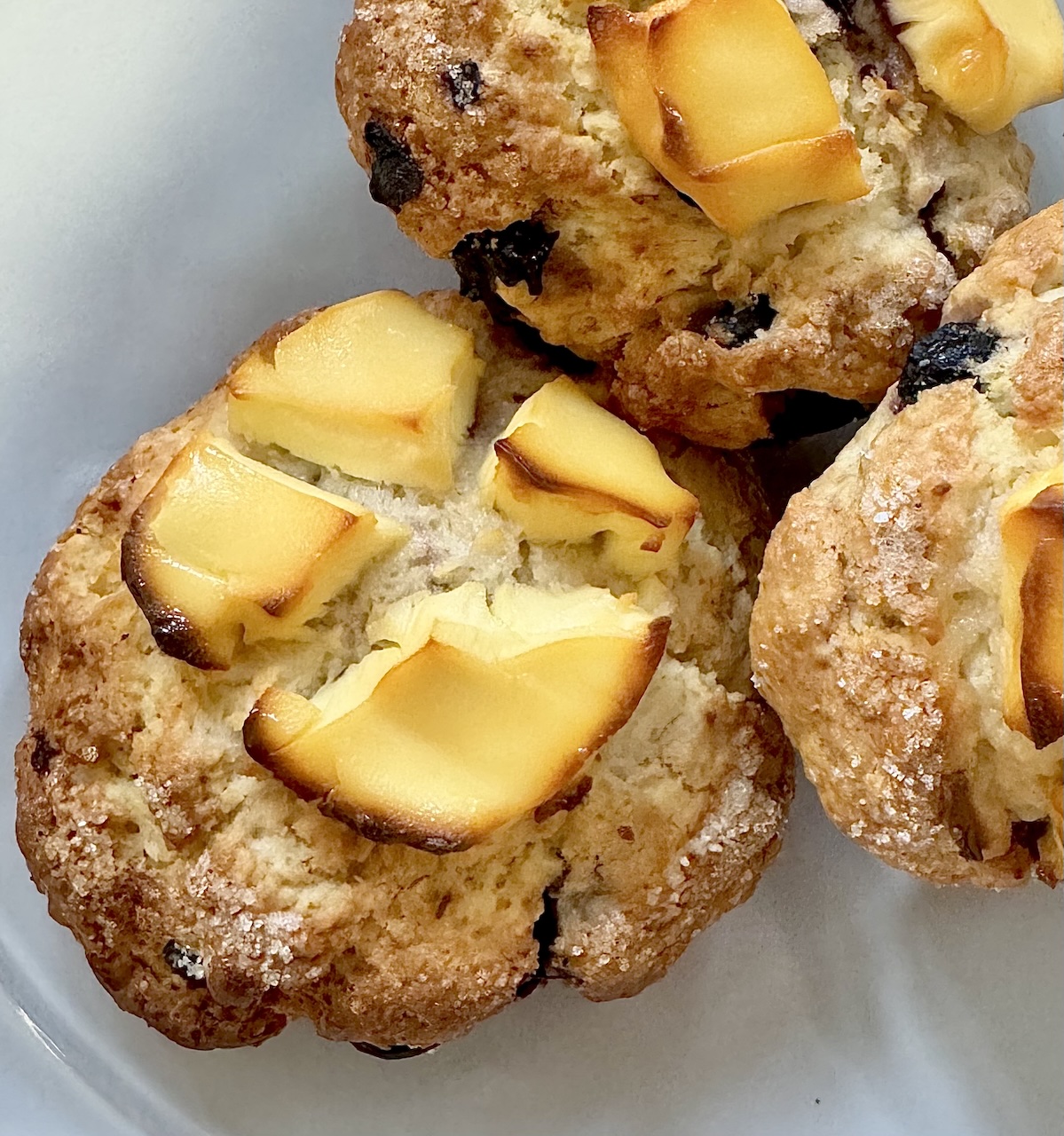 ブルーベリーとクリームチーズのスコーン