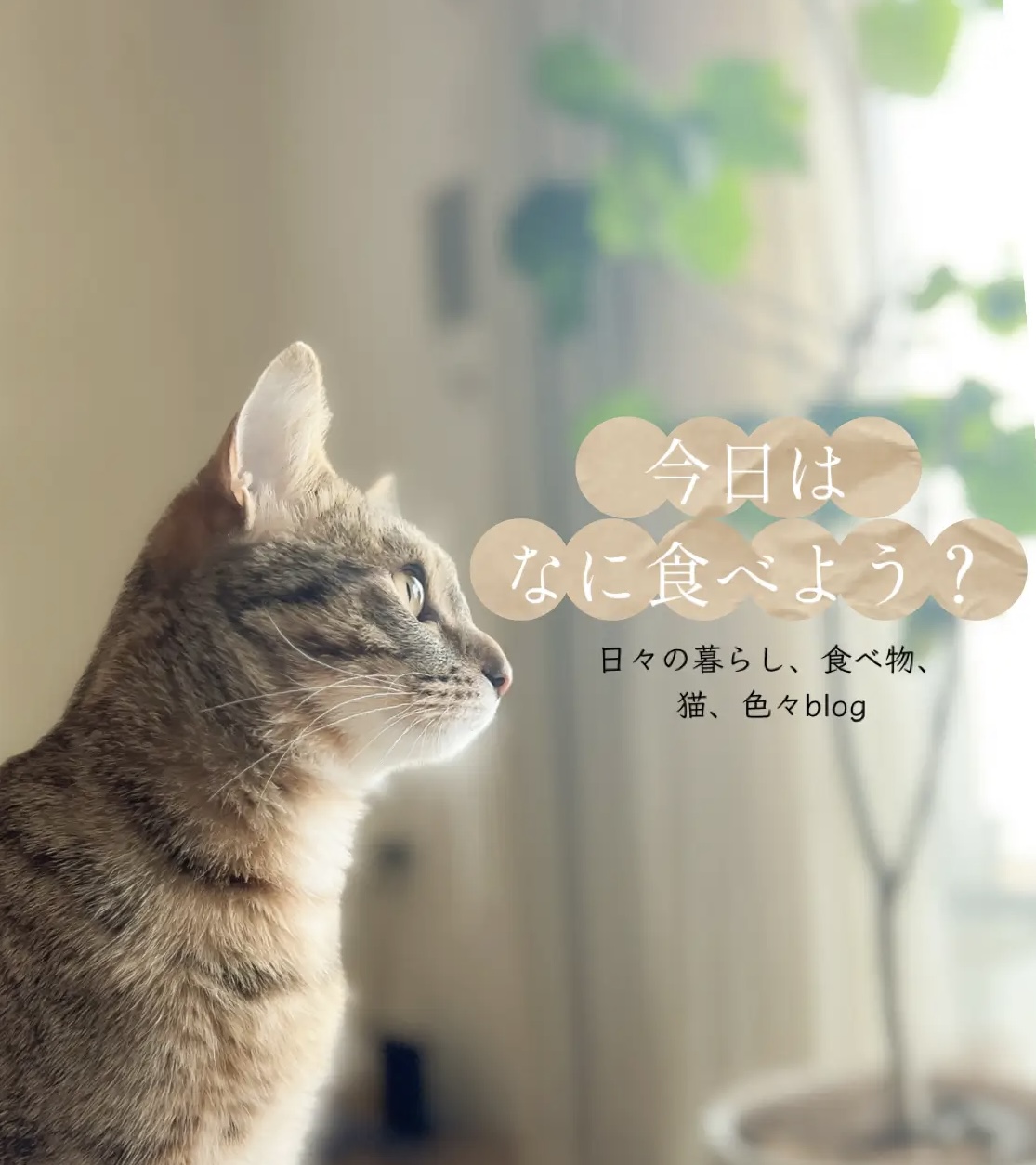 今日は なに食べよう?